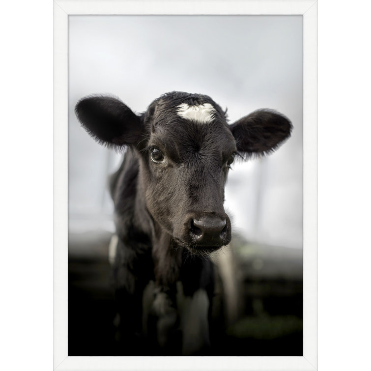 Providence Art Brown Cow Picture Frame Photograph Print on Paper